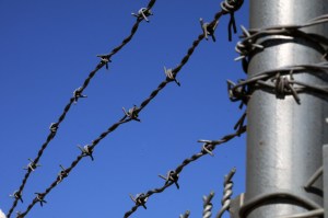 barbed-wire-fence